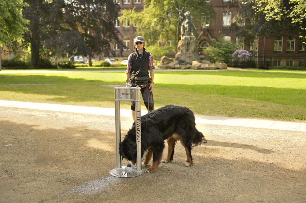Himberg Trinkwasserbrunnen La Playa mit Tiertränke und trinkendem Hund Himberg Trinkwasserbrunnen La Playa mit Tiertränke und trinkendem Hund